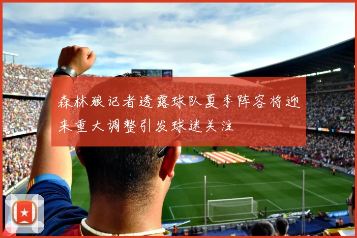 森林狼记者透露球队夏季阵容将迎来重大调整引发球迷关注