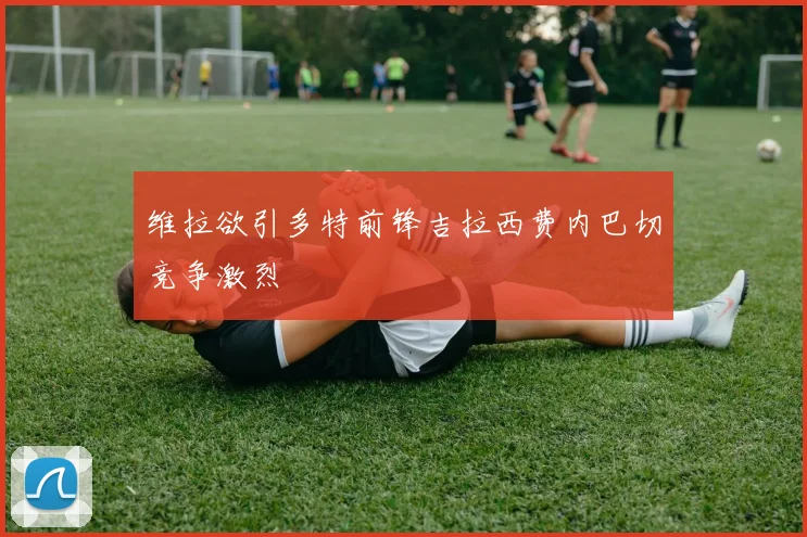 维拉欲引多特前锋吉拉西费内巴切竞争激烈